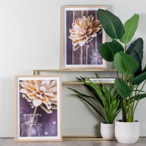 Set due quadri stampati fiori naturali